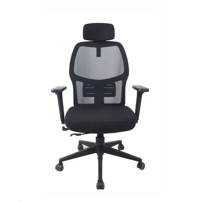 Andes backrest and headset